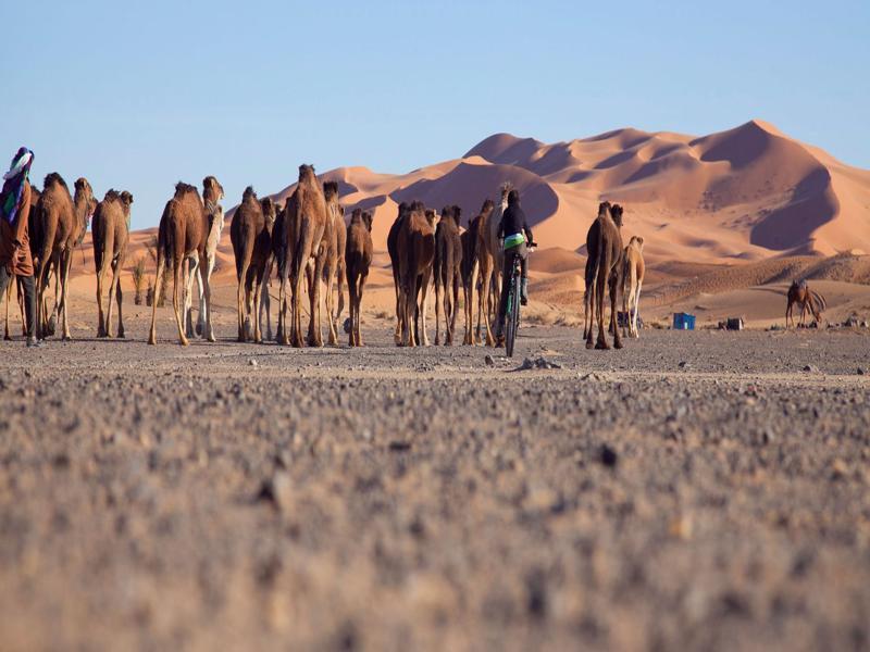 Kam Kam Dunes Merzouga Ngoại thất bức ảnh