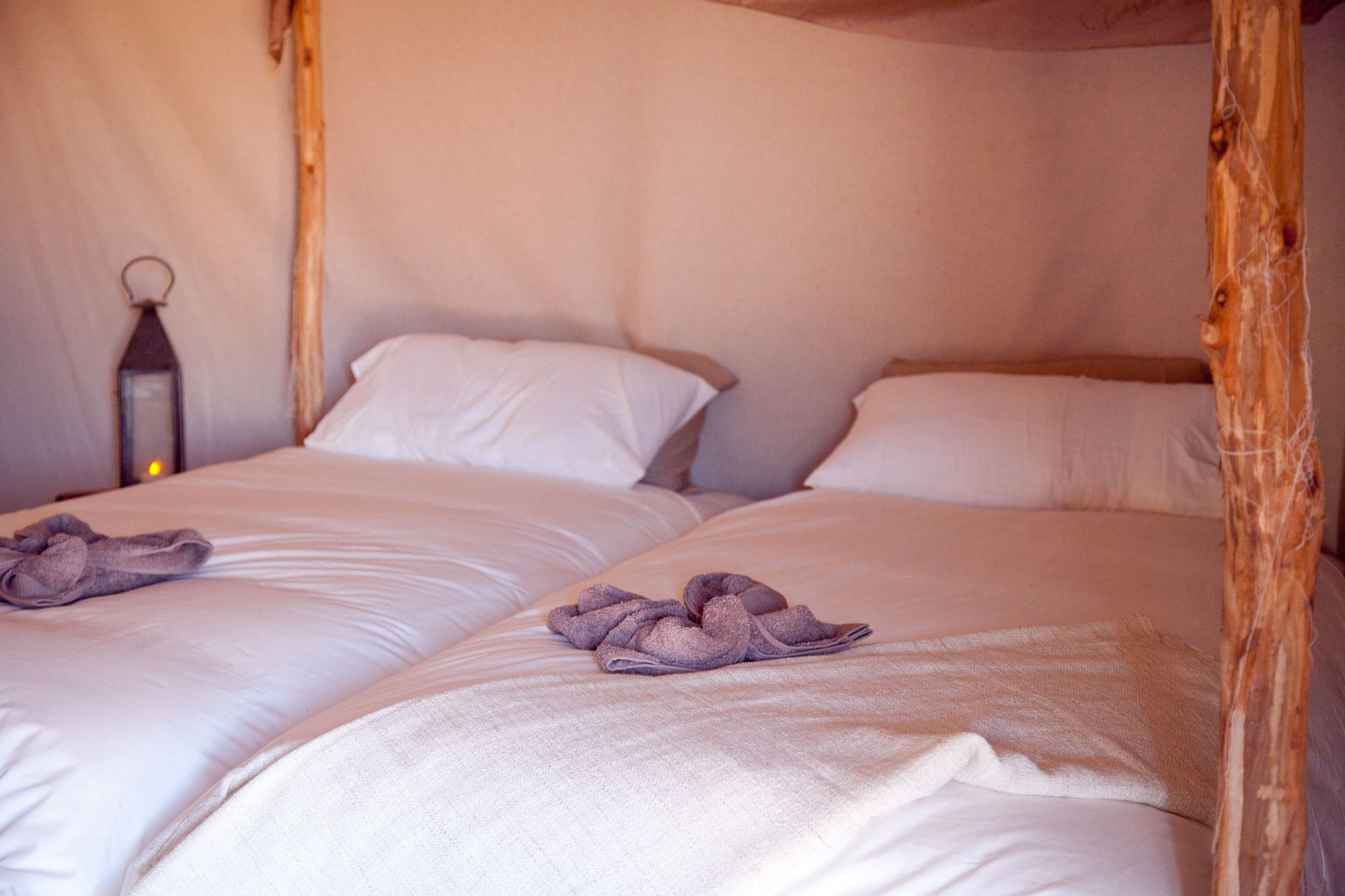 Kam Kam Dunes Merzouga Ngoại thất bức ảnh